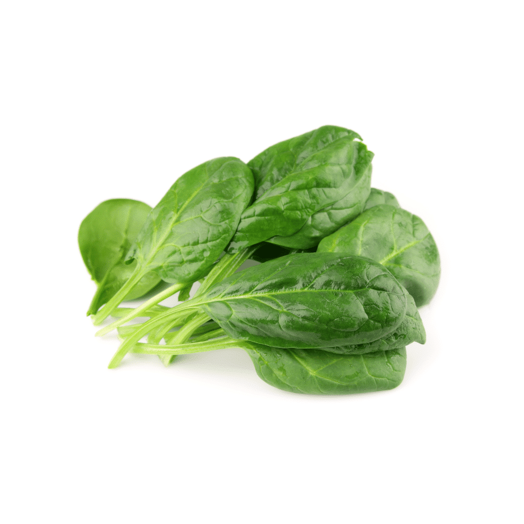 Leaf Spinach