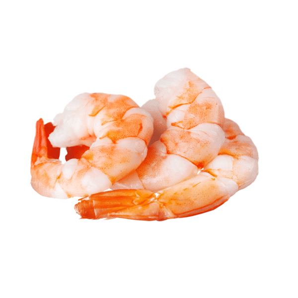 Shrimp