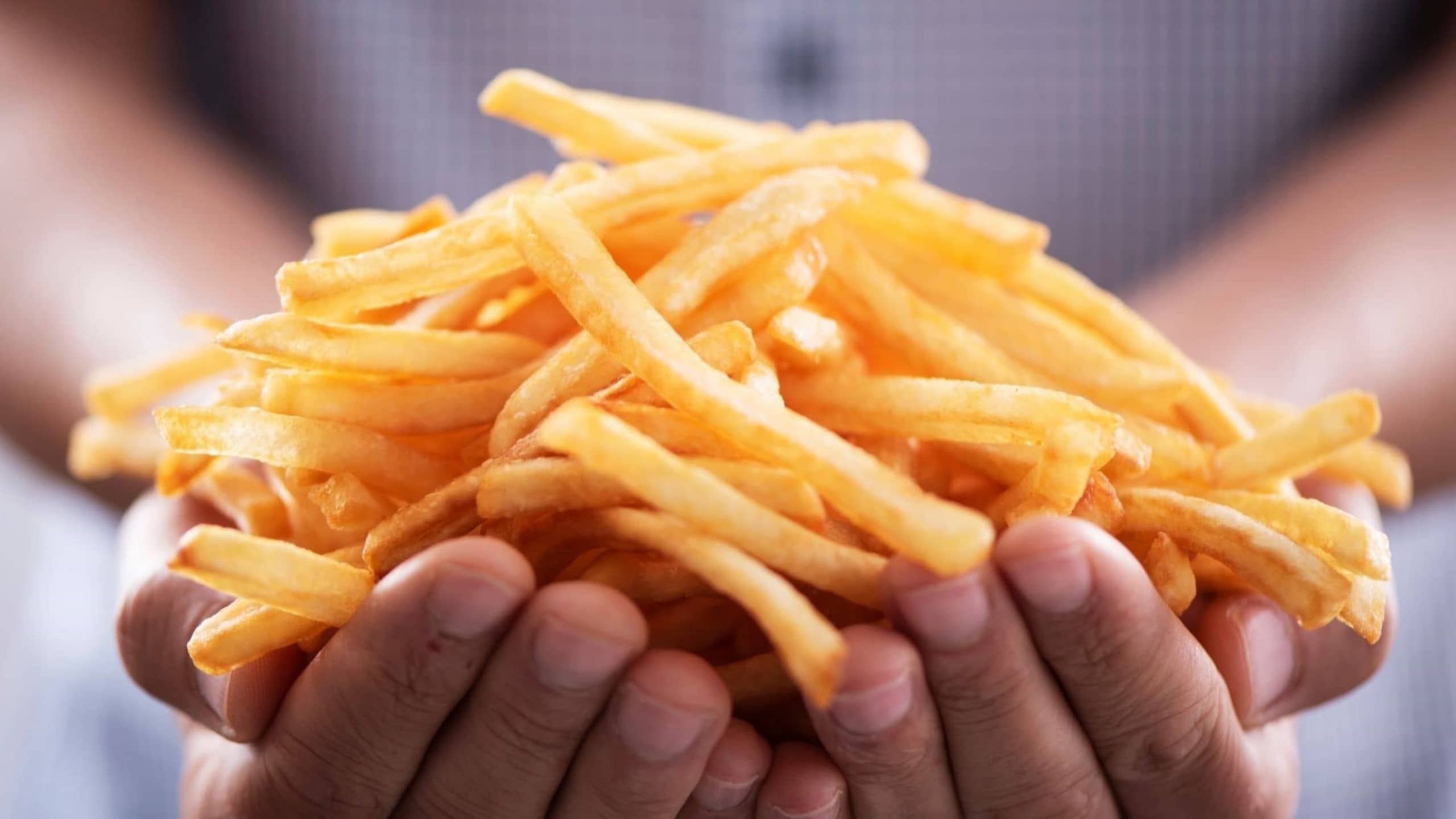 Person Holding Fries Banner