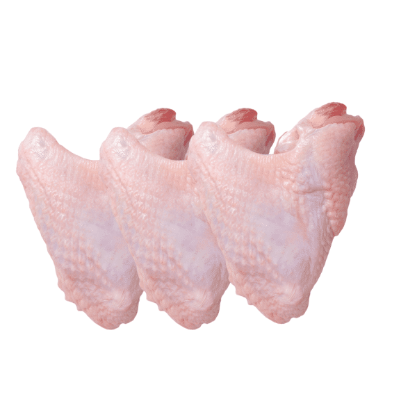 Turkey Wings